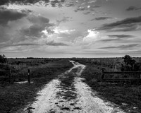 Florida Landscape/Infrared